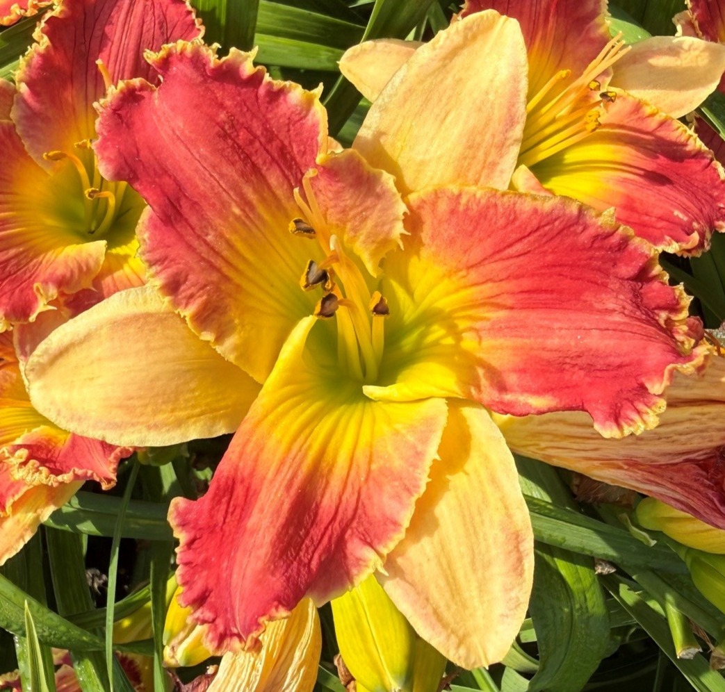 CHANGE OF FORTUNE